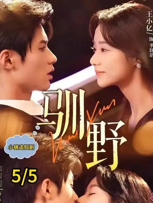山海邮局 电视剧全集免费观看